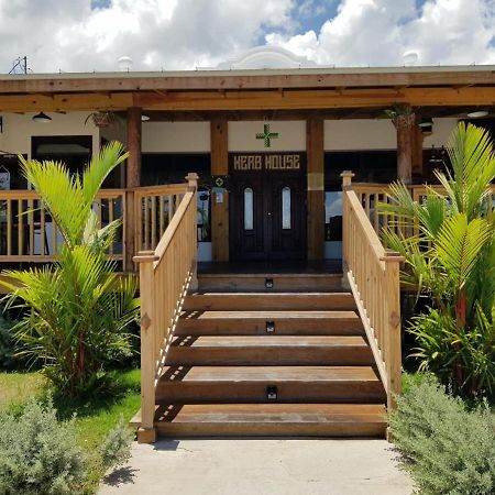 Relax Villa Очо Риос Екстериор снимка
